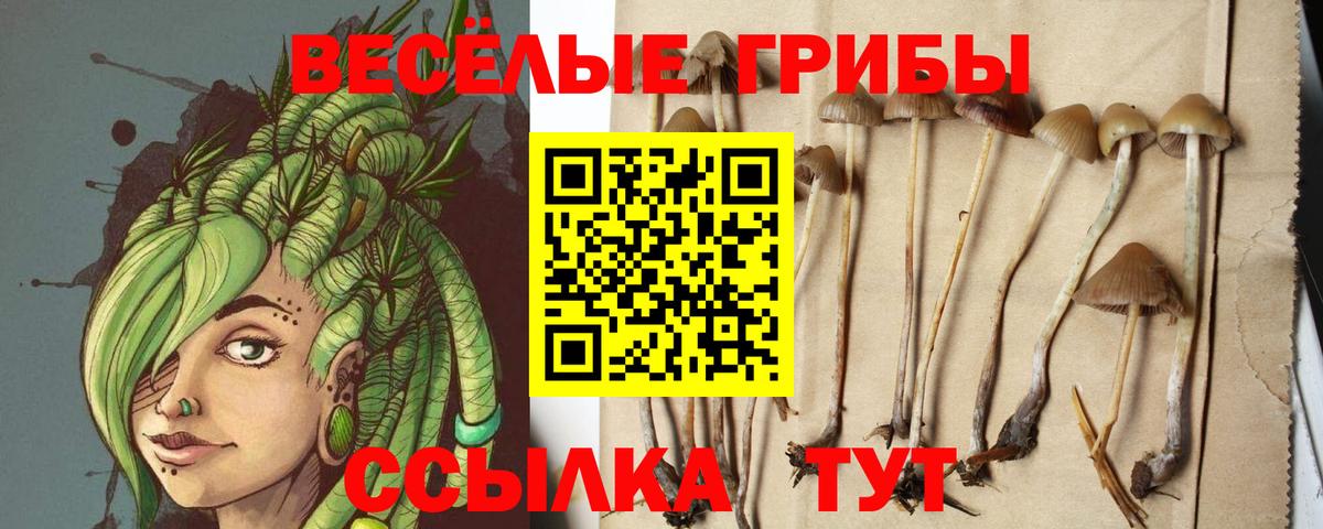 Галлюциногенные грибы мухоморы Северобайкальск