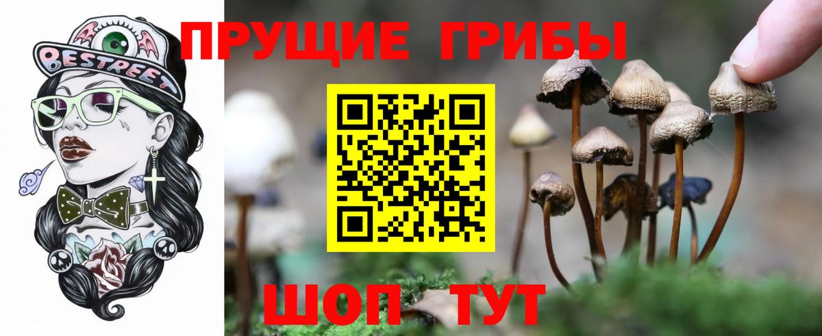 Северобайкальск  Галлюциногенные грибы Psilocybine cubensis  Псилоцибиновые грибы мухоморы  Вход с VPN 